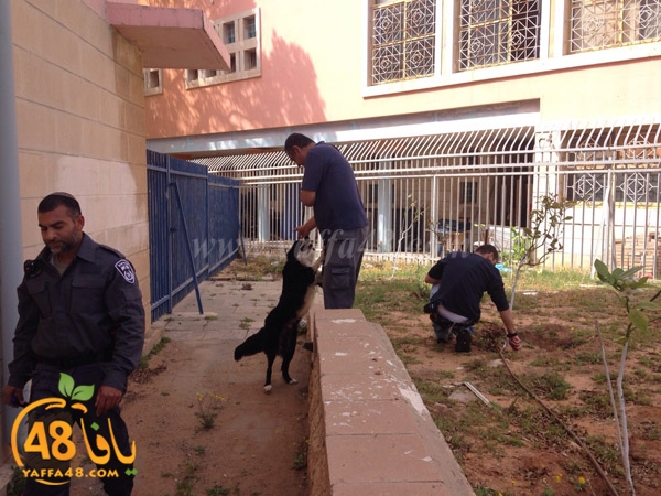 modahama shamela j3h (4).JPG